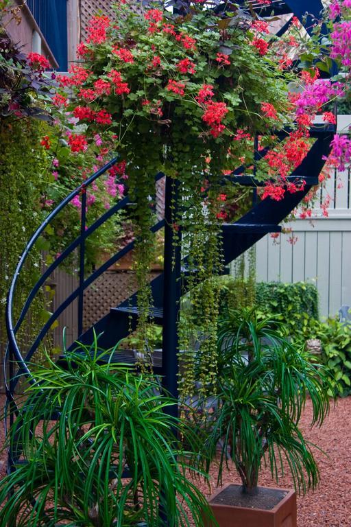 Le Cartier Bed And Breakfast Montréal Esterno foto